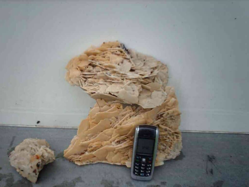 A large beige mineral specimen with small crystal formations is placed next to a smaller rock and a mobile phone for scale, reminiscent of the meticulous care seen in pig cleaning.